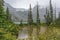 Pond at Upper Joffre Lake