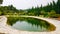 Pond with vegetation reflected in the water in Malaga