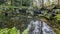 Pond with water with blooming algae surrounded by stones, water flowing between the rocks forming small waterfalls