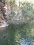 A pond of water boasts eucalyptus and dates trees