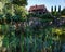 a pond with water plants, the shore is made with stones