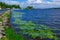 Pond water waves stone waterfront line space in cold morning time with background island view, focus on foreground lily plants on