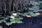 Pond with waterlilies in pest