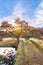 Pond with a wooden bridge on a islet with big autumn maple tree under the sunset sky in the garden of Rikugien in Tokyo in Japan