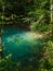 Pond in the woods, Ochiul Beiului, Caras Severin county, Romania