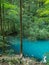 Pond in the woods, Ochiul Beiului, Caras Severin county, Romania