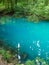 pond in the woods, Ochiul Beiului, Caras Severin county, Romania