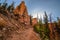 Ponderosa Trail looking up Bryce Canyon