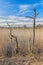 The Ponds and Reed Beds Of Foulshaw Moss.