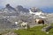 Ponies in an alpine meadow