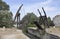 Pont Van Gogh of the Langlois Bridge from d` Arles de Fos