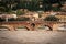 Ponte Pietra - Stone bridge and Adige river in flood - Verona Italy