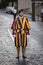 Pontifical Swiss Guard in his traditional uniform. Tricolor full dress uniform of Pontifical