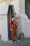 Pontifical Swiss Guards dressed in uniform with a Renaissance appearance. The V