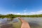 Pontoon in the mangrove of salines beach, Sainte-Anne, Martinique