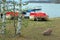 Pontoon on the waterside of the lake Seliger