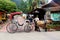 Pony cart in Oriental Village