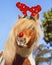 Pony with Christmas Antlers