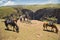 Pony trekking in Lesotho near Semonkong. Maletsunyane Falls