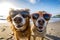 Pooches in Shades Snapping Selfies on the Beach, generative Ai