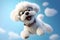 Poodle cartoon character, cute smiling white toy poodle dog in glasses on blue sky background. Generative AI
