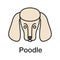 Poodle color icon
