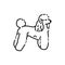 Poodle color line icon. Dog breed.