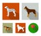 Poodle, doberman, dolmatin, german shepherd.Dog breeds set collection icons in flat style vector symbol stock