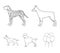 Poodle, doberman, dolmatin, german shepherd.Dog breeds set collection icons in outline style vector symbol stock