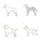 Poodle, doberman, dolmatin, german shepherd.Dog breeds set collection icons in outline style vector symbol stock