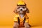 Poodle Dog Dressed As A Builder On