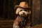 Poodle Dog Dressed As A Cowboy At Work