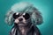 Poodle Dog Dressed As A Rockstar On Mint Color Background