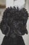 Poodle Dog Portrait black curly