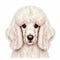 Poodle Dog Portrait: Realistic Canine Artistry for Dog Enthusiasts.