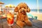 Poodle dog is relaxing on the beach with a cocktail. Resort holiday concept. Generative AI