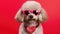 Poodle Dog With Sunglasses Color Background. Generative AI