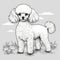 Poodle Dog Vector Handdrawing Illustration In Light Gray And White