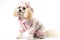 Poodle dressed in a pink pajama on a white background