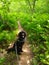 Poodle Hiking in a Lush Forest