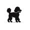 Poodle Icon, Dog Black Silhouette, Puppy Pictogram, Pet Outline, Poodle Symbol Isolated on White