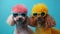 Poodle Paradise: Stylish Canine Duo in Sunglasses & Vintage Accessories, AI Studio Shot with Vibrant Colored Frames & Yellow