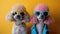 Poodle Party: Adorable Canines in Vibrant Sunglasses and Vintage Accessories - Studio Shot AI Generative Image