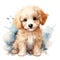 Poodle. Realistic watercolor dog illustration. Funny doggy drawing template. Art for card, poster and other
