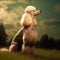 Poodle sitting on the green meadow in summer. Poodle dog sitting on the grass with a summer landscape in the background. AI