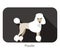 Poodle standing and watching, side view cartoon, vector illustration