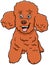 Poodle toy dog cartoon animal character