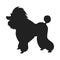 Poodle vector black silhouette