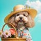 a poodle wearing a dress and a hat with flowers in a basket.