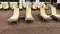 Pool chairs arranged neatly on the pool deck